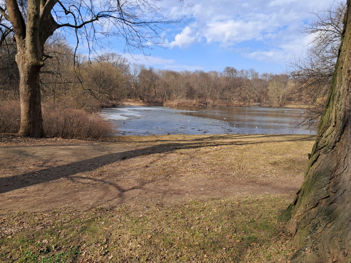 Park Skaryszewski